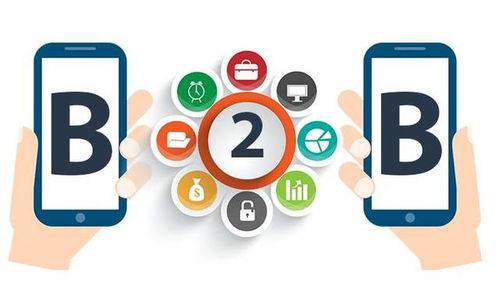 搭上新凍網快車，做大做強凍品事業——互聯網信息服務助力行業發展