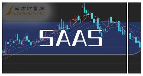 創業板SaaS概念股名單 聚焦互聯網信息服務的投資指南