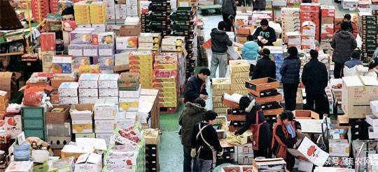 生鮮農產品的最后一公里 食品銷售的突破口